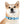Personalized Blue Spheres Dog Collar - Odor Resistant - Dipaliz - Standard Collars