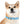 Personalized Blue Spheres Dog Collar - Odor Resistant - Dipaliz - Standard Collars