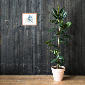 Framed Poster Bluebird with Flowers Matte Finish Dipaliz - Posters