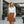 Bold Leopard Print Skater Skirt Polyester Spandex Dipaliz - Skirts - Xs