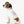 Soft Pet Tank - Loved Paw Print Dog - Dipaliz - Shirts
