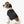 Soft Pet Tank - Loved Paw Print Dog - Dipaliz - Shirts