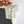 Botanical Leaf Towel – Greenery Decor - Dipaliz - Hand Towels