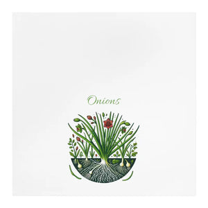 Vibrant Botanical Onions Tea Towel - Kitchen Art by Dipaliz - White / 28’’ × - Towels