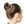 Botanical Rust Leaf Scrunchie, Neutral Floral Hair Accessory - Accessories