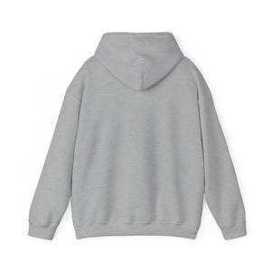 Minimalist Budget Receipt Hoodie - Heavy Cotton - Dipaliz - Hoodies - s