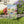 Cheerful House Banner – Durable Poly Poplin-canvas - Dipaliz - Flags & Windsocks