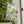 Cheerful House Banner – Durable Poly Poplin-canvas - Dipaliz - Flags & Windsocks