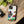 Stylish Protective Phone Cases - Extra Durability - Dipaliz - Mobile