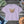 Boxy Butterfly Graphic Tee - Ring-spun Cotton - Dipaliz - T-shirts