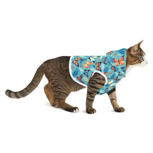 Butterfly Pattern Cat Hoodie White Rib - Trendy Feline Fashion - Dipaliz - Pet Hoodies