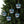 Clear Acrylic Ornaments - Winter Wonderland Holiday - Dipaliz
