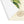 Calabrian Gold Fruit Placemat – Cotton Twill - Dipaliz - Placemats