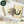 Capricorn Bundle Banner