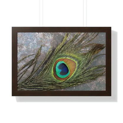 Captivating Peacock Feather Framed Horizontal Poster - 24″ × 16″ / Walnut