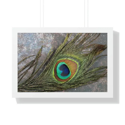 Captivating Peacock Feather Framed Horizontal Poster - 24″ × 16″ / White