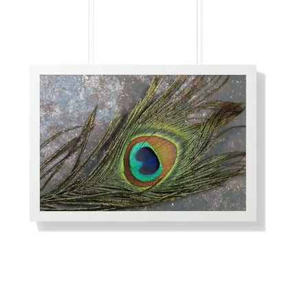 Captivating Peacock Feather Framed Horizontal Poster - 30’’ × 20’’ / White