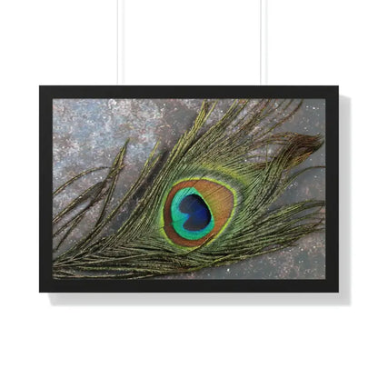 Captivating Peacock Feather Framed Horizontal Poster - 30’’ × 20’’ / Black