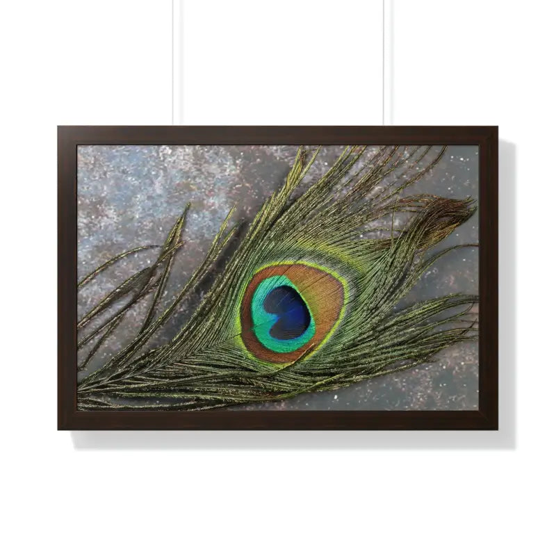 Captivating Peacock Feather Framed Horizontal Poster - 30’’ × 20’’ / Walnut