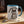 Cat Quietly Judging Accent Coffee Mug - Ceramic - Dipaliz - 11oz / Light Blue - Mugs