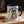 Cat Quietly Judging Accent Coffee Mug - Ceramic - Dipaliz - 11oz / Navy - Mugs