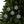 Spruce & Berries Ornaments Glossy Finish Ceramic Decor - Dipaliz - Holiday