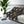 Sherpa pile reverse of the DipaliZ celestial floral fleece blanket