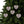 Holly Leaves Ceramic Ornaments - Festive Holiday Decor - Dipaliz - Home
