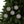 Holly Leaves Ceramic Ornaments - Festive Holiday Decor - Dipaliz - Home