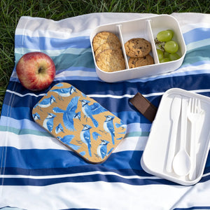 Blue Jay Bento Lunch Box - Eco-friendly Design - Dipaliz - Containers