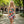 Checkered Racerback Dress – Polyester Style - Dipaliz - Dresses - Xs