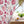 Floral Window Curtain – Elegant Home Decor - Dipaliz - Curtains