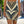 Chic Geometric Pencil Skirt - Stylish Office Wear - Dipaliz - Skirts - Xs