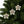 Festive Christmas Bells – Ceramic Stylish Shapes - Dipaliz - Holiday Ornaments