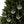 Reindeer Glass Ornaments – Festive Premium - Dipaliz - Holiday