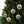 Reindeer Glass Ornaments – Christmas - Dipaliz - Holiday