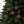 Christmas Star Ornaments – Durable Ceramic - Dipaliz - Holiday