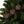 Christmas Star Ornaments – Durable Ceramic - Dipaliz - Holiday