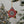 Christmas Star Ornaments – Durable Ceramic - Dipaliz - Holiday