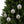 Clear Glass Ornaments – Christmas Tree 3.5in - Dipaliz - Holiday