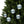 Reindeer Glass Ornaments – Winter Holiday - Dipaliz