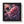 Chrysanthemum Dew Drops – Framed Vertical Poster - Dipaliz - Posters