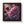 Chrysanthemum Dew Drops – Framed Vertical Poster - Dipaliz - Posters