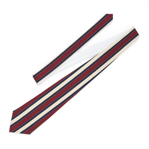 Slim Striped Necktie - Classic Satin Preppy Tie - Dipaliz - Neckties