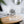 Modern Cafe Sipper Glass - Bpa Free Terrace - Dipaliz - Tumblers