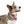 Vibrant Pet Bandana Collar - Polyester Duck Fabric - Dipaliz - Apparel
