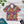 Hawaiian Camp Shirt Vibrant Hibiscus Flowers Men Dipaliz - Xs - Shirts