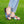 Stylish Summer Flip Flops - Removable Straps - Dipaliz - Sandals