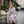Long Sleeve Midi – Countryside Pattern - Dipaliz - Dresses - Xs
