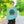 Unisex Garment-dyed Sweatshirt - Bold Comfort - Dipaliz - Sweatshirts